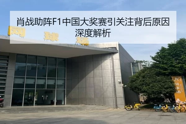 肖战助阵F1中国大奖赛引关注背后原因深度解析